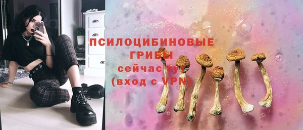 винт Алексин