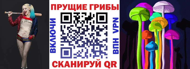 Галлюциногенные грибы Magic Shrooms Рошаль